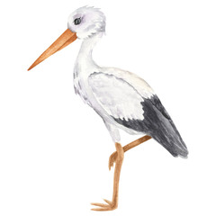 White stork. Isolated object on the white background, watercolor hand drawn illustration, cartoon characte