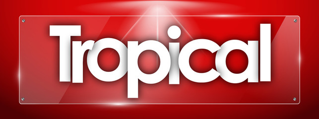 Tropical word in colored rectangles background