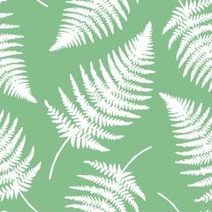 Fern Leaves Pattern. Endless Background. Seamless