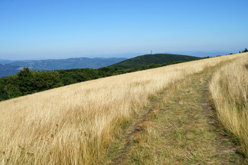 Grassland road on the top of the White Carpathian Mountains
