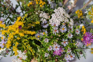 Bouquet of wildflowers - chamomile, clover, yarrow, tansy, thistle, aster, golden vine