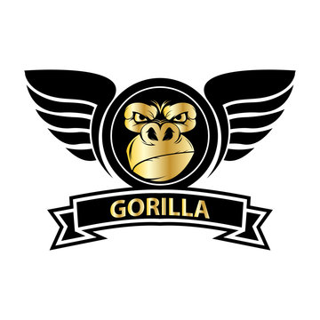 gorilla head logo vector image