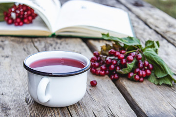White mug or cup of hot viburnum tea on a wooden table near an open book and red viburnum berries. Source of natural vitamins. Used in folk medicine.