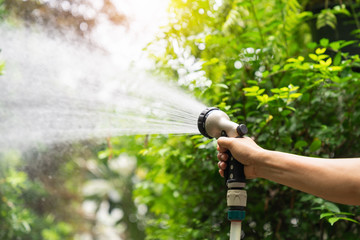 A Man watering the fruit trees with a hose