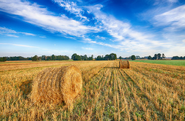 Beautiful summer landscape with hay bales and cloudy sky