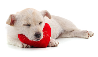 Puppy and heart.