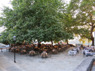 nice and cozy restaurant under the tree crown
