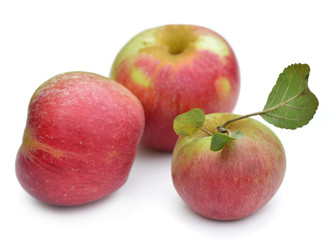 three organic red apples isolated on white background