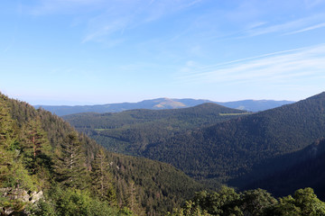 Naklejka premium Les hauteurs de l'Alsace