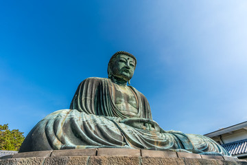 Obraz premium Monumental outdoor bronze statue The Great Buddha in Kamakura, Japan. Wide angle view with clear blue sky