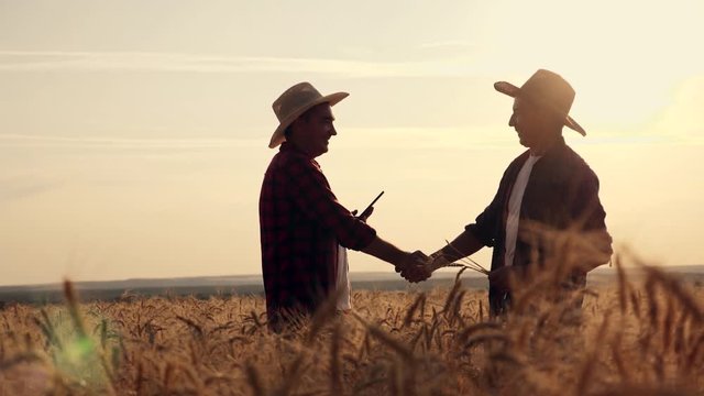 eam work. Two farmers stand at sunset in a wheat field, and discuss the new crop.. Farmers use new technologies in agriculture. Growing organic products.