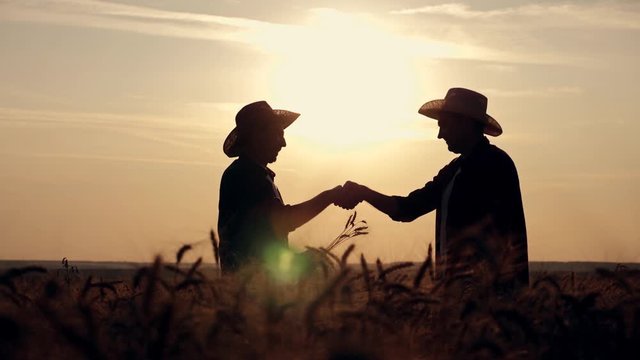 eam work. Two farmers stand at sunset in a wheat field, and discuss the new crop.. Farmers use new technologies in agriculture. Growing organic products.