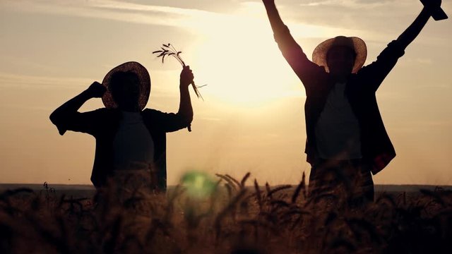 eam work. Two farmers stand at sunset in a wheat field, and discuss the new crop.. Farmers use new technologies in agriculture. Growing organic products.