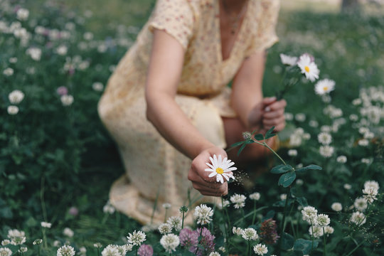 Woman picking wildflowers in meadow