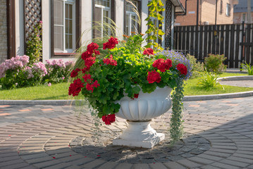 White cachepot in a flower garden with beautiful flowers and decorative plants