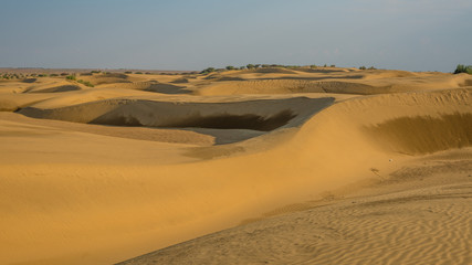 Fototapeta na wymiar Dunes of Thar Desert. Sam Sand dunes, Rajasthan, India