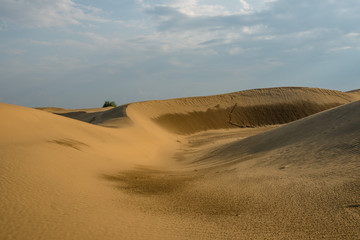 Dunes of Thar Desert. Sam Sand dunes, Rajasthan, India