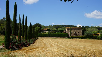 Panoramic view on field of wheat hay in Figueres, Spain