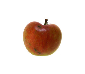 apple isolated on white background