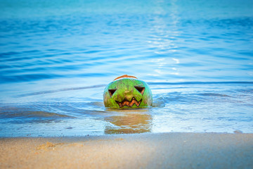 Coconut drowns in water on the beach. The symbol of Halloween, like a carved abstract face on a pumpkin.