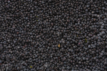 Top view of frozen blueberries.