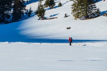 Skilangläufer Winterlandschaft 