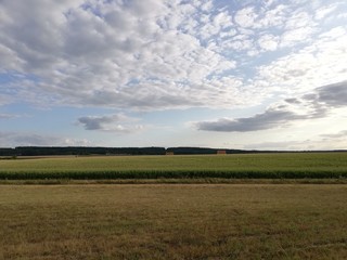 Fototapeta na wymiar yellow and fields and blue cloud sky. French countryside