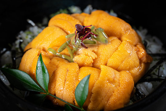 Uni Don on the table in the Japanese restaurant.