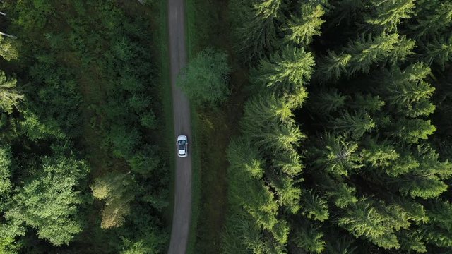 A small white car driving slowly on a gravel forest road. Aerial view following the car.