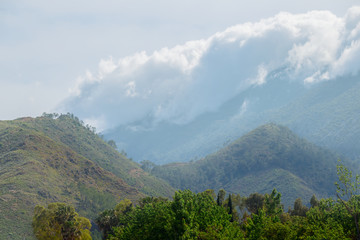 green mountain valley with dense cumulus cloud on a mount top