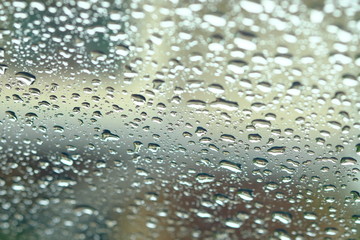 water drops on the grass 