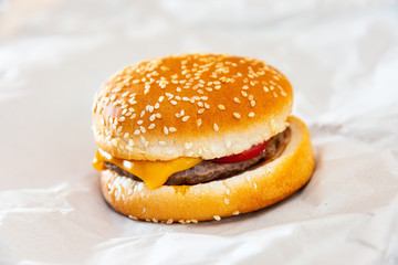 Cheese burger - American cheese burger with fresh salad