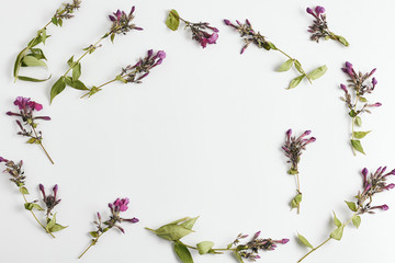 beautiful frame with wildflowers on white background. flat lay, top view
