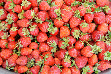 Organic and fresh strawberries at the market