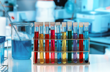 rack with test tubes in the research laboratory