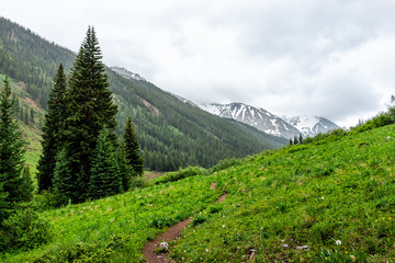 Open valley view on Conundrum Creek Trail in Aspen, Colorado in 2019 summer with green lush plants...