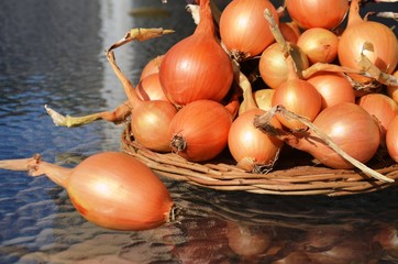 yellow onion on a glass table. Macro. nutrition. food. eco-products in farm. Organic. Vegetarian. Health life