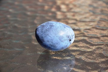 One Blue plum on a glass table. Macro. nutrition. food. eco-products in farm. Organic. Vegetarian. Health life