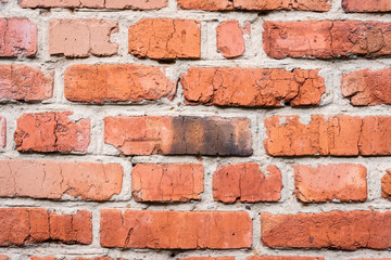 Obraz premium Background of brick wall texture