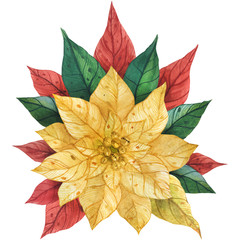 Poinsettia Christmas Floral Bouquet, traced watercolor illustration