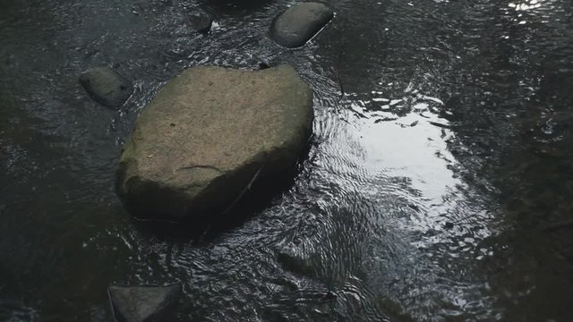 A quite stream of water in the middle of a forest and a rock stays steady while water floats quietly and calm by