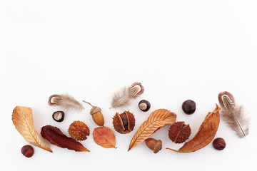 Autumn composition, frame made of acorns, chestnuts and dry leaves on white background. Flat lay,...