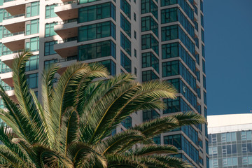 Fototapeta na wymiar San Diego, USA, 2019. Part of modern building with palm. Tropical city, apartment house