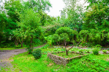 The park with green trees and grass in the forest along which there is a path for walking. Rest and tranquility in the fresh air in nature.