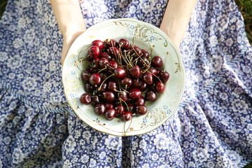 Girl is sitting on the grass in blue vintage dress. Woman is holding cherries. Rustic summer fruit flat lay. Healthy vegetarian ecological food lifestyle concept.