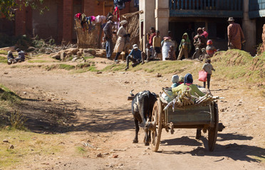 Fiadanana, Madagascar on july 26, 2019 - Children in a zebu cart. Many children in this region don't go to school because of poverty