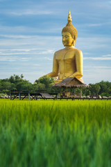 Big Buddha statue at Wat Muang, Ang Thong Province, Thailand