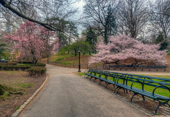 Central Park in spring