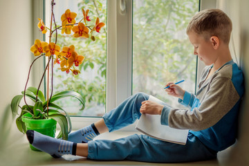 A little blond-haired boy in pajamas draws sitting on the window, and outside the window is a sunny summer day. A child and an orchid flower on a large bright window. Summer photo made in bright colo