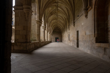 Claustro del monasterio de San Salvador de Celanova, Ourense. Galicia. España.